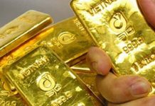 Cập nhật giá vàng ngày 03/12/2024