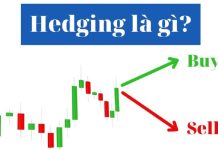 CHIẾN LƯỢC GIAO DỊCH HEDGING TRONG FOREX