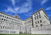 WTO nâng dự báo tăng trưởng thương mại toàn cầu 2025
